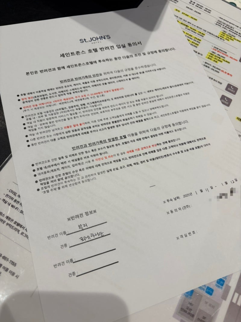 사진 9