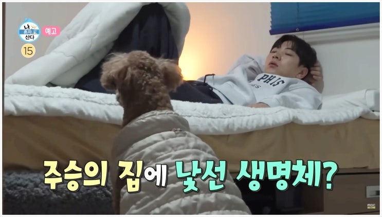  나혼자산다 반려견 코코와 함께하는 이주승의 서열 극복 도전기 생존 전략은?
