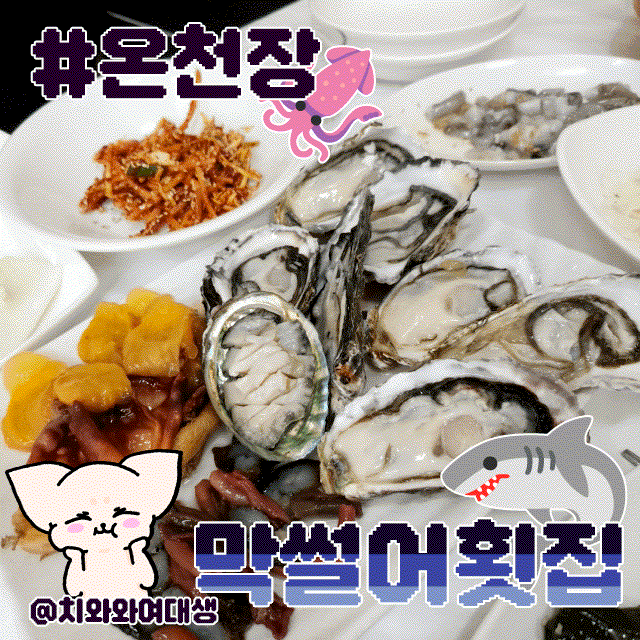 부산온천장횟집 막썰어횟집 산오징어 허심청회식맛집 해산물 후기