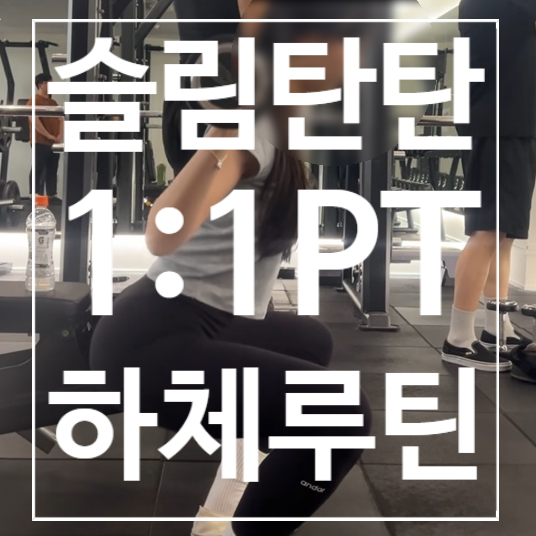 [탄현헬스] PT 슬림탄탄해지는 하체루틴
