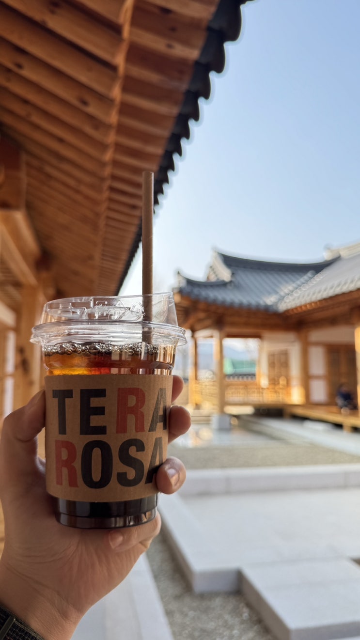  [경주] 신상대형카페 테라로사 경주점