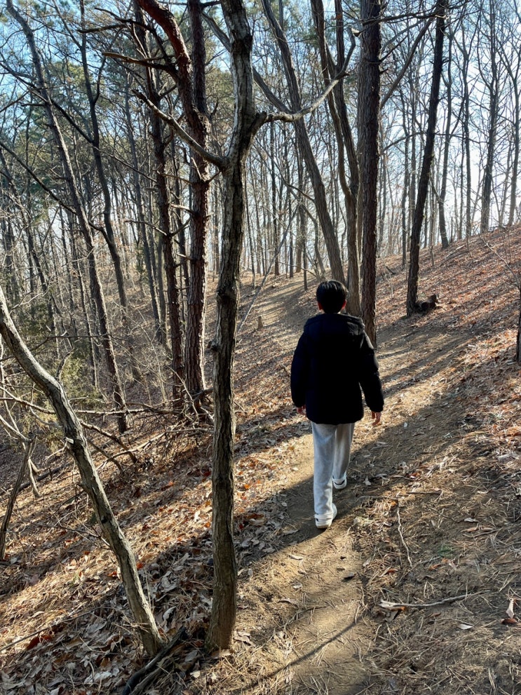둥이2호 월봉산 산행 Hiking / 슬쌍디아빠 이동섭