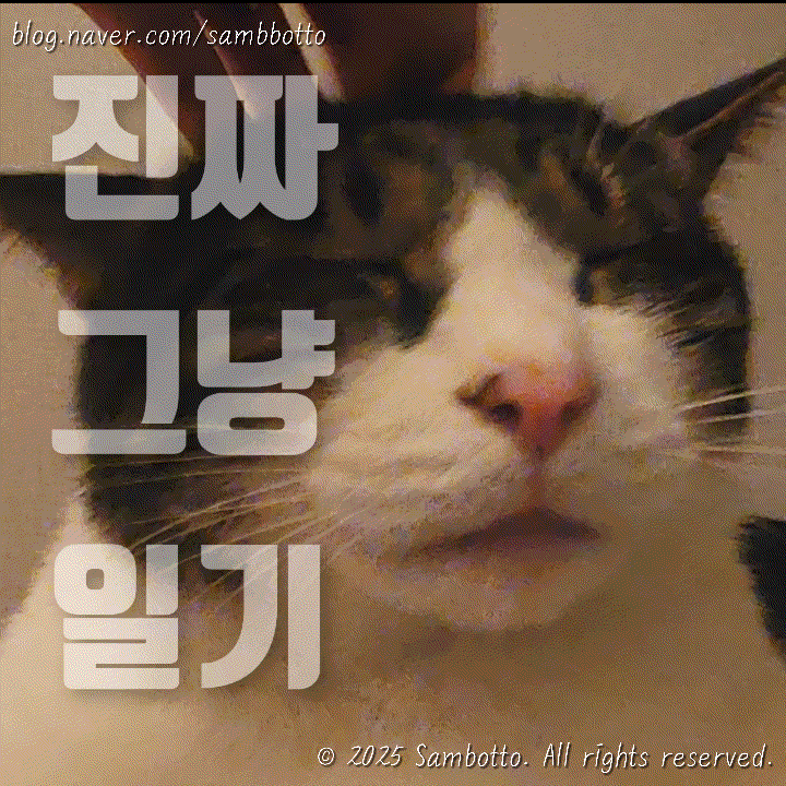  진짜 그냥 일기 | 오랜만이야, 호놀룰루쿠키 | 짱구 가챠, 엫 고양이 가챠 | 이틀연속 다이소 | 회선장 방어회 | 다이소 네트망으로 주방정리(컵 거치대) | 고양이 사진 잔뜩
