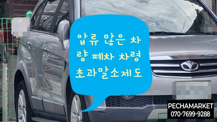  압류 많은 차량 폐차 차령초과말소제도
