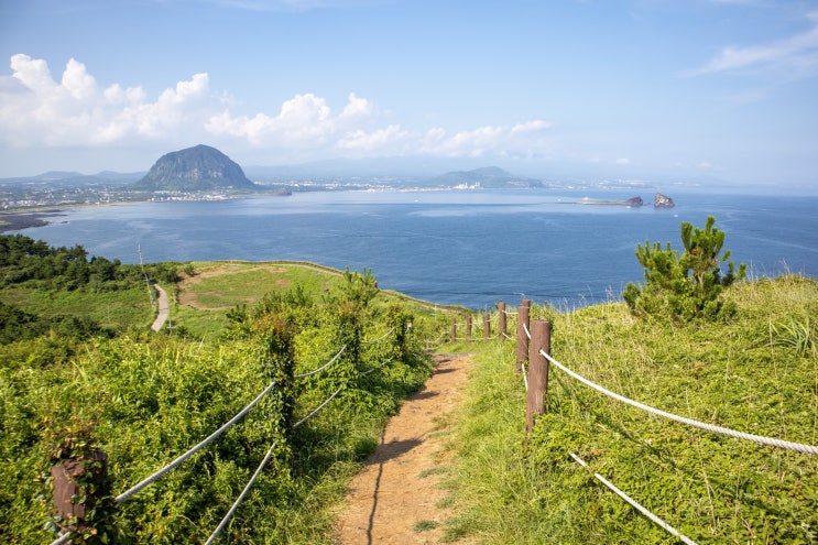  제주 올레길 10코스 추천 아이랑 송악산 둘레길