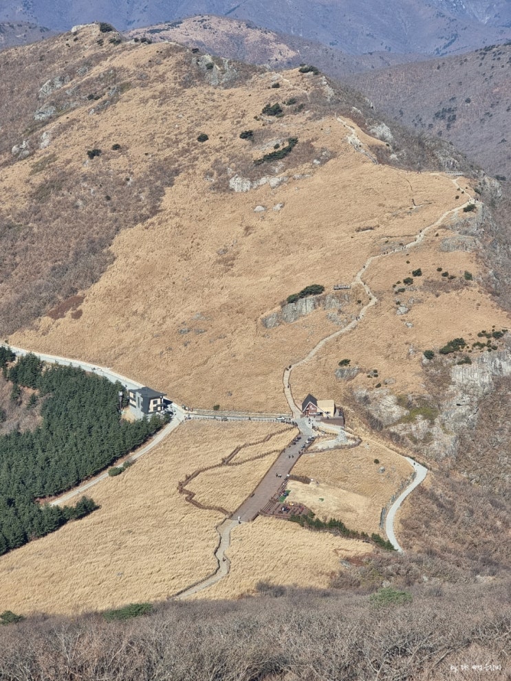  영축산 신불산 연계산행 원점회귀 등산코스와 주차 그리고 영남알프스 인증 팁 후기