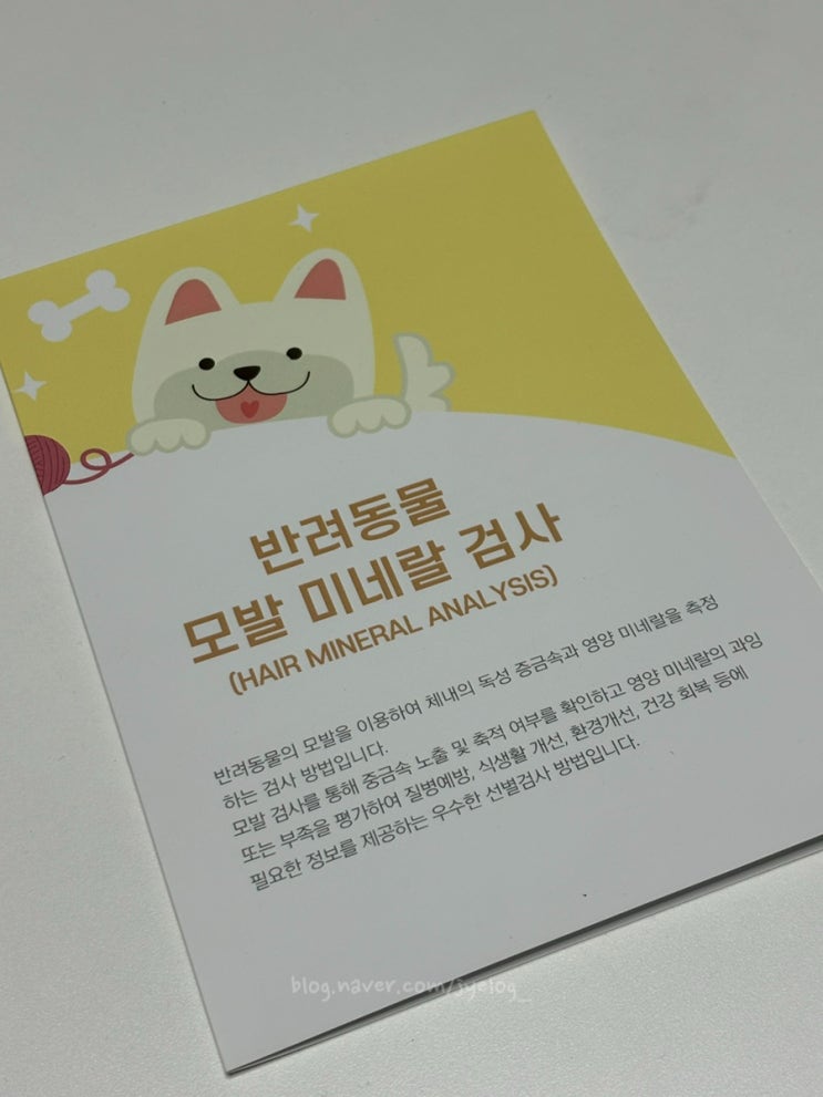  강아지모발검사 집에서 간편하게 건강검진 [헤어펫 모발검사]
