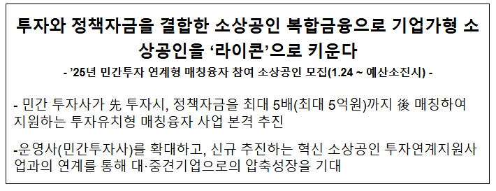 투자와 정책자금을 결합한 소상공인 복합금융으로 기업가형 소상공인을 '라이콘'으로 키운다 투자와 정책자금을 결합한 소상공인 복합금융으로 기업가형 소상공인을 '라이콘'으로 키운다