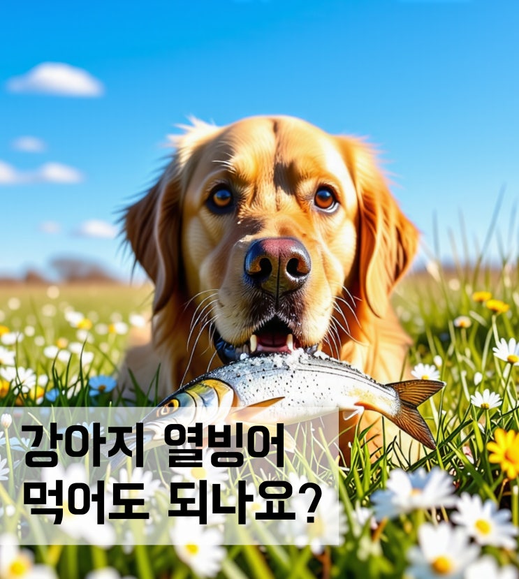  강아지 열빙어 먹어도 되나요? 급여시 주의사항