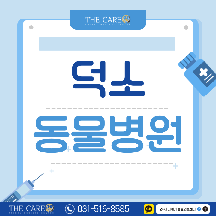 덕소동물병원 강아지 슬개골 탈구 원인 대처 방법