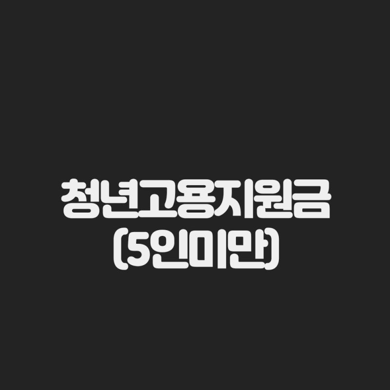 중소기업 청년고용지원금 내용 총 정리(5인미만 기준)