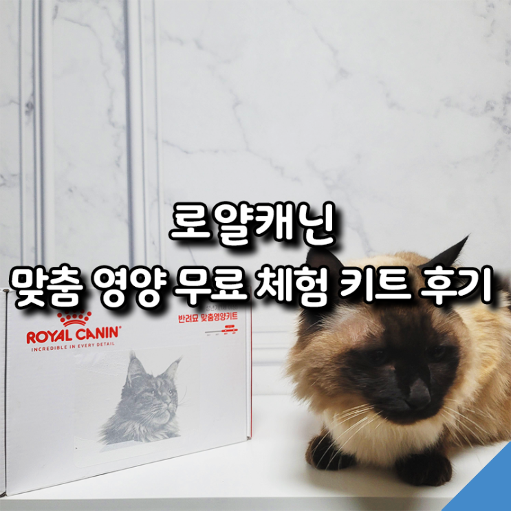  로얄캐닌 무료 체험 키트 후기 고양이를 위한 맞춤 영양 프로그램