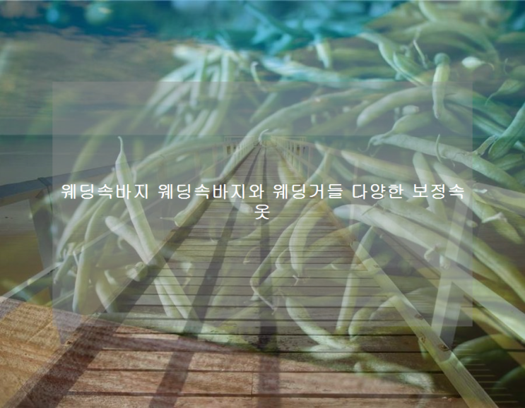  웨딩속바지 웨딩속바지와 웨딩거들 다양한 보정속옷