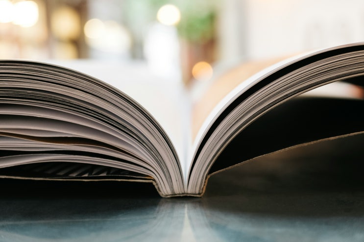  2025년 2월 26일 수요일 별자리 운세