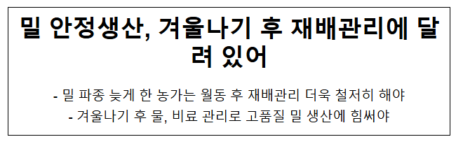밀 안정생산, 겨울나기 후 재배관리에 달려 있어 밀 안정생산, 겨울나기 후 재배관리에 달려 있어