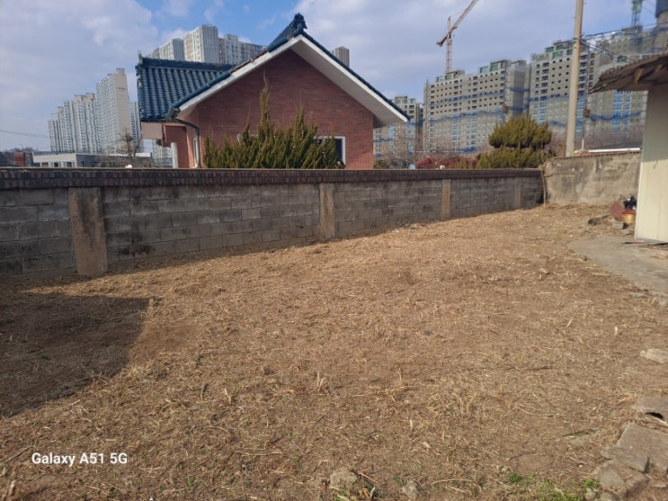  울산 울주군 온양읍 단독주택 화단 예초 및 임목폐기작업("울산울주예초대행")