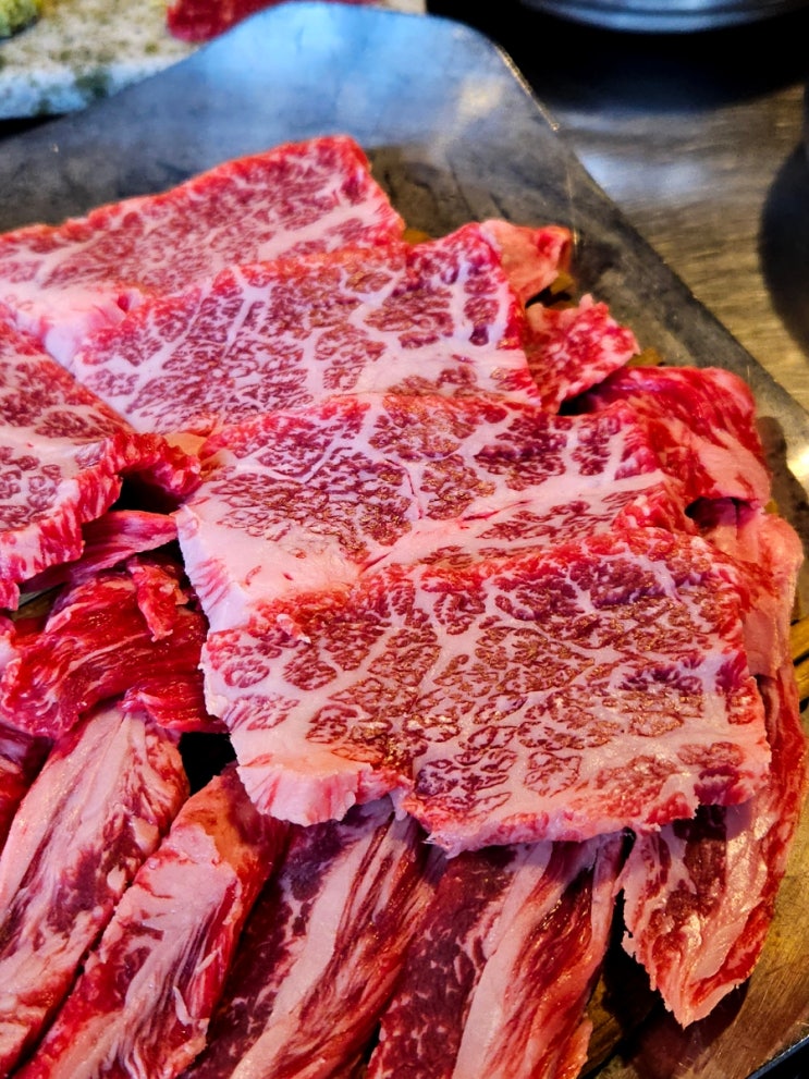  신사동 고기집 칠프로칠백식당 신사본점 잠원동 소고기 회식 장소