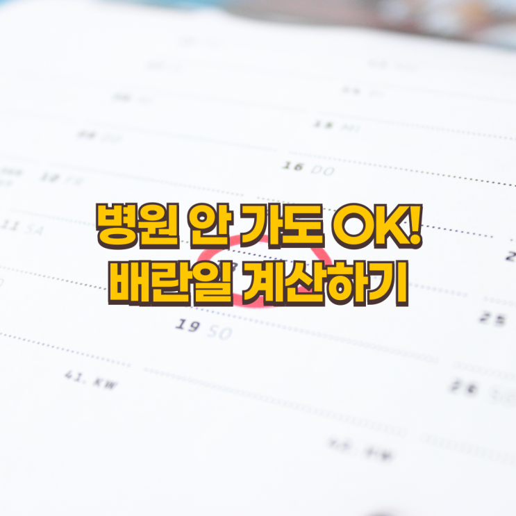  배란일 계산기, 병원 안 가도 OK! 집에서 쉽게 배란일 확인하기