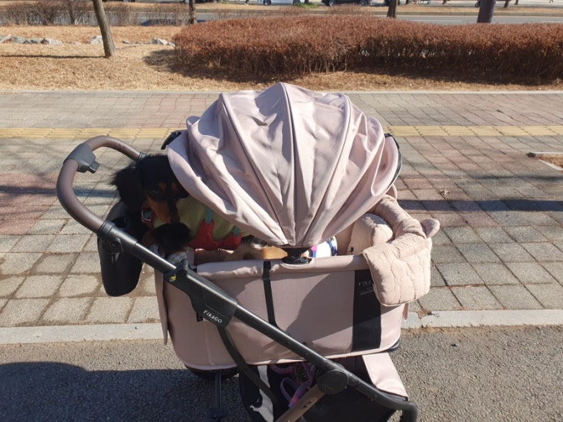 피카고 애자일2