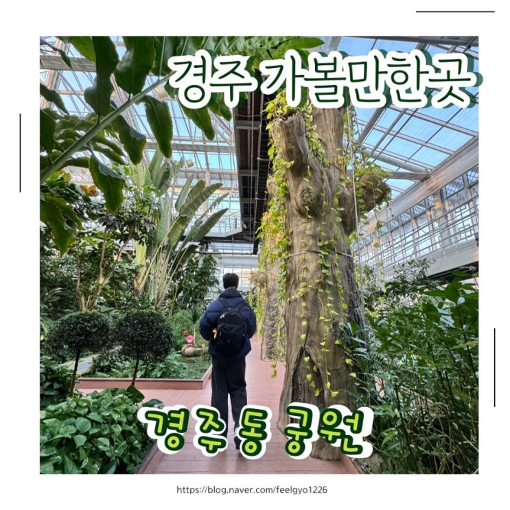  경주 겨울 아이랑 실내 가볼만한곳  경주동궁원