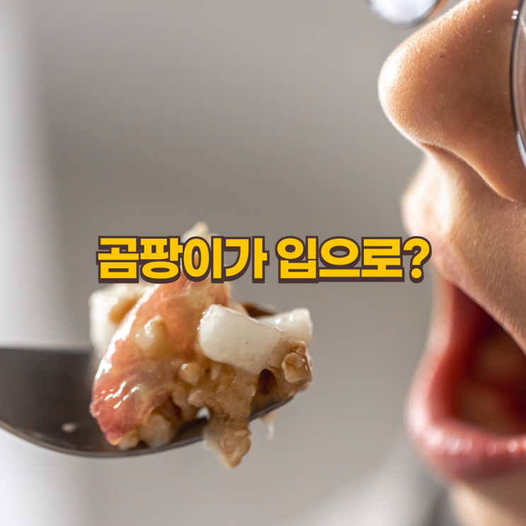  곰팡이는 무조건 나쁘다? 곰팡이를 먹으면?