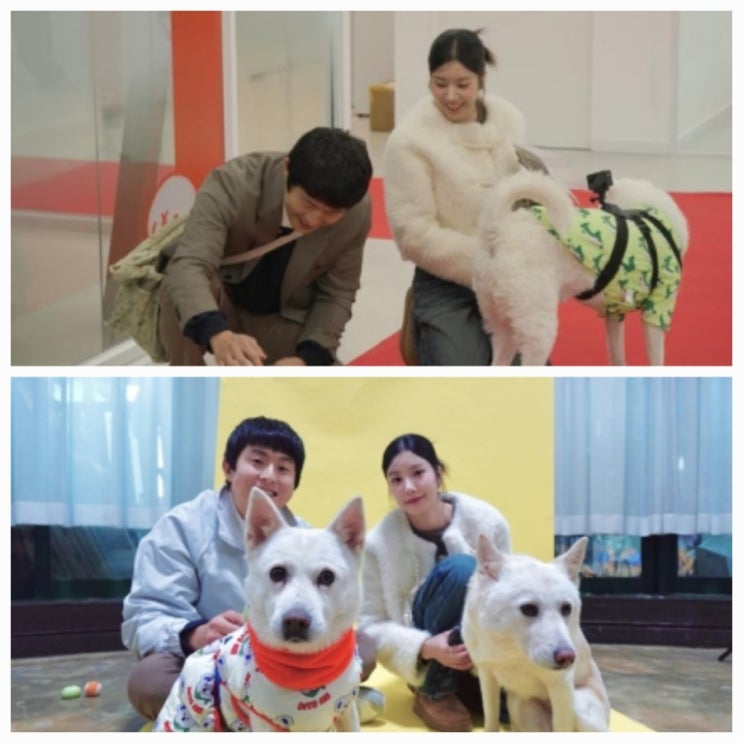 기안84 프로필 총정리 나이 키 학력 근황 기안84 프로필 총정리 나이 키 학력 근황