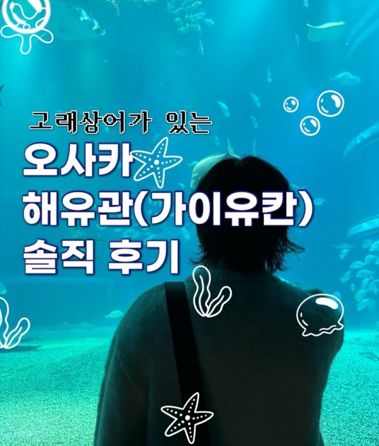  오사카 해유관 가이유칸 내돈내산 후기 | 예약, 피딩타임, 운영시간