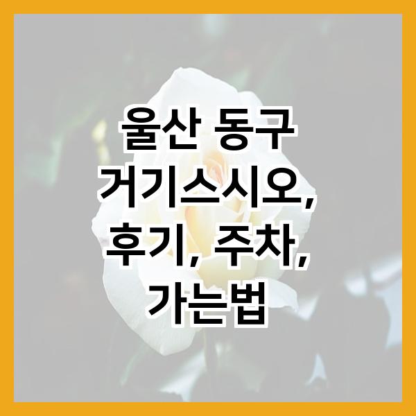 거기스시오 사진 1
