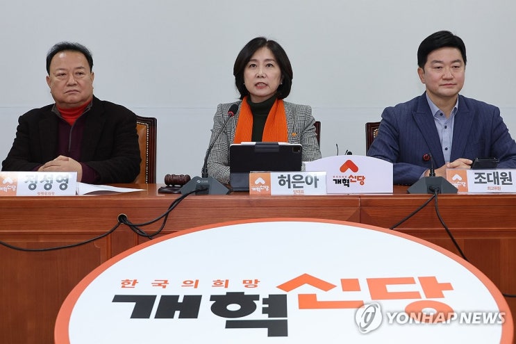 개혁신당 '<b>허은아</b> 퇴진' <b>당원투표</b> 시작…許, '<b>가처분</b> 신청' 대응