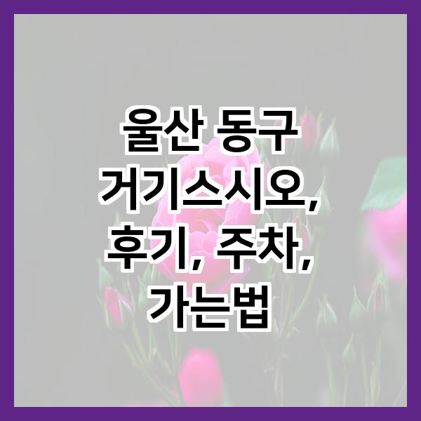 거기스시오 사진 2