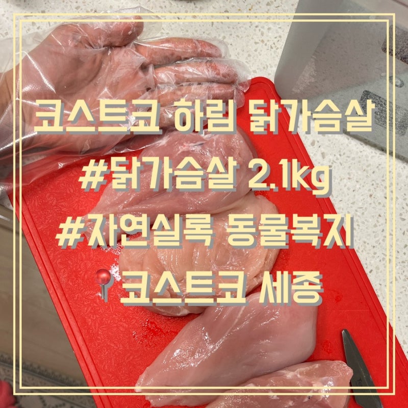 코스트코 하림 동물복지 닭가슴살 2.1kg 가정 추천 요리법 수비드 활용법 공유