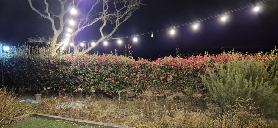 매리미하우스 사진 6