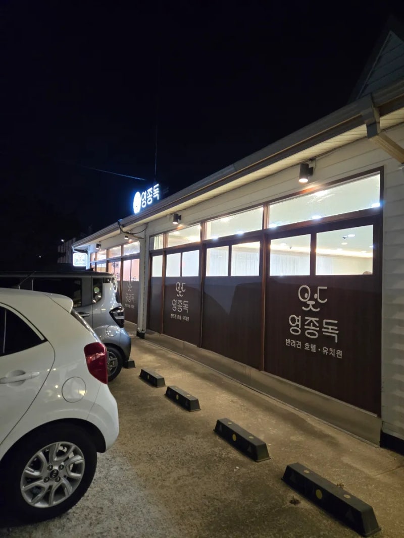 영종독반려견호텔유치원