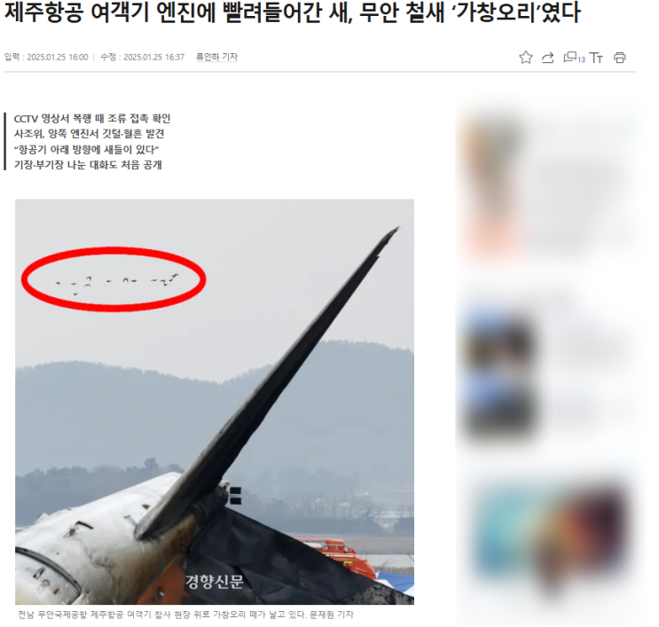 무안 제주항공 사고기 엔진에 <b>가창오리</b> 충돌 흔적, 무안공항... 