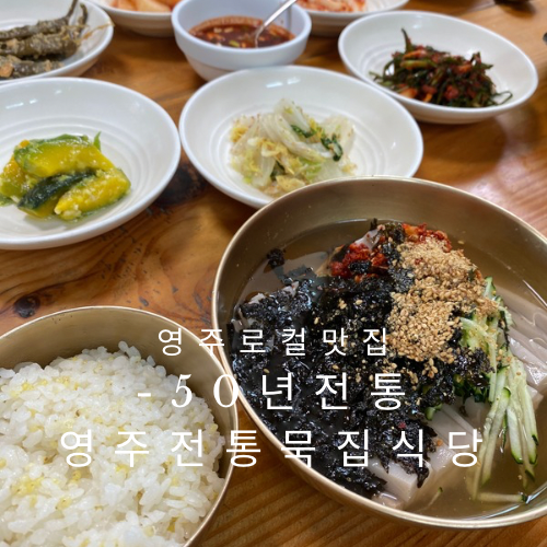  (내돈내산)영주현지인로컬맛집 - 영주묵집 (feat. 영주전통묵집식당,태평초)