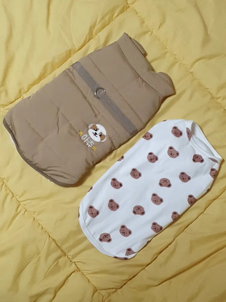  [아츄패션] 겨울철 따뜻한 강아지 패딩 추천/아츄의 겨울 패션쇼 바잇미, 펫스츄리