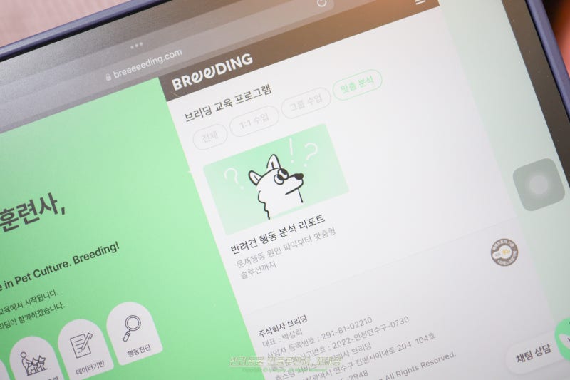 사진 6