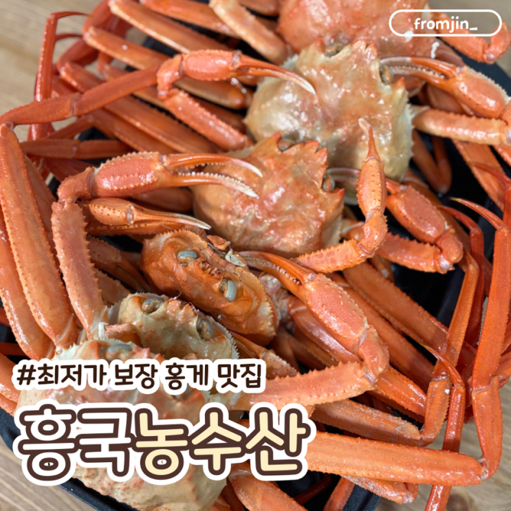  최저가 보장 홍게 맛집 흥국농수산