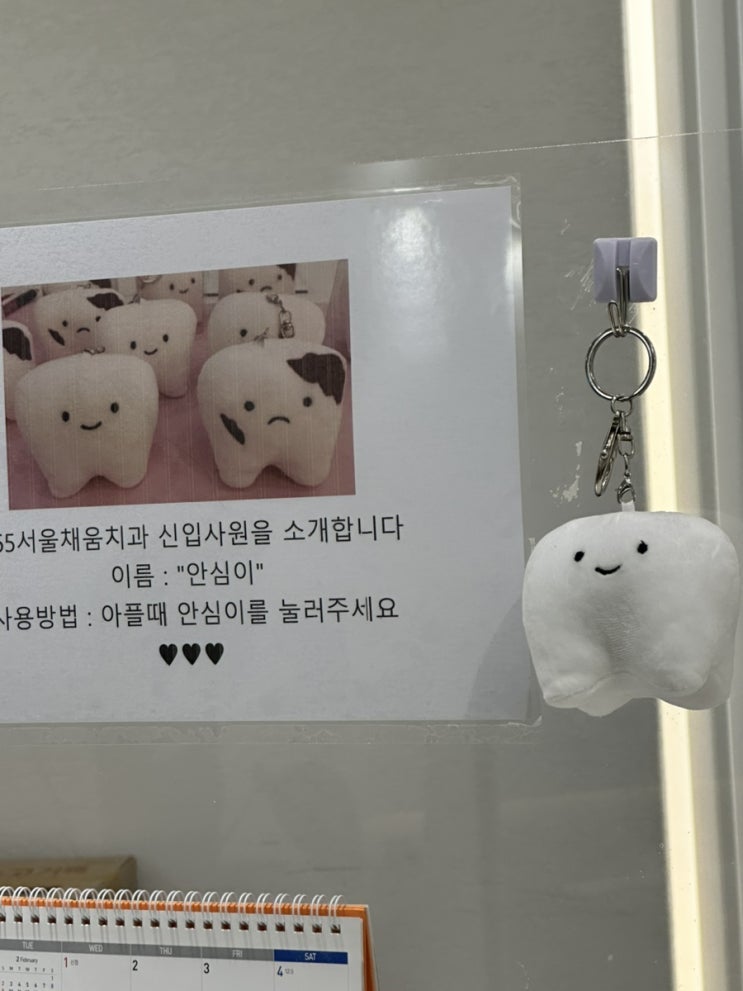  새해맞이 to do list 치아 미백과 보톡스 / 치아미백 주의사항 및 팁