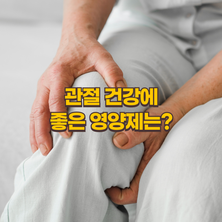  관절 영양제, 어떤 걸 선택해야 할까?