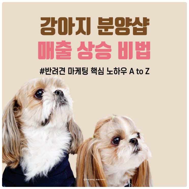  강아지 분양샵 매출 상승 비법! 반려견 마케팅 핵심 노하우