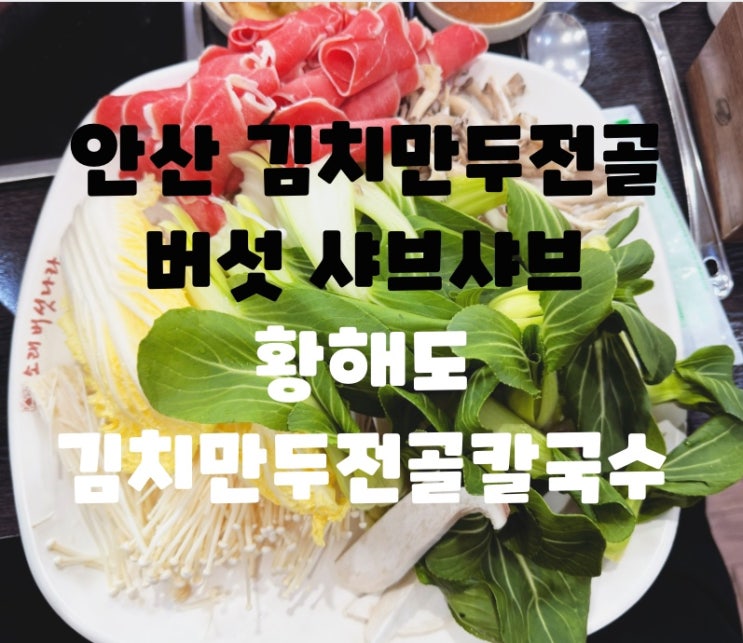  안산 김치만두전골 안산 버섯 샤브샤브 추천 안산 손만두 : 황해도김치만두전골칼국수