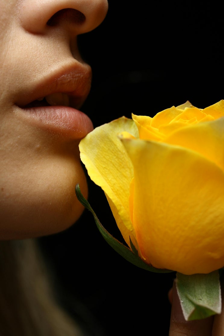  나의 본능을 외면하지 마세요