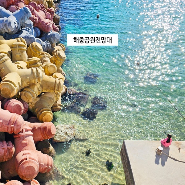  강릉 핫플 명소 갈만한곳 바다 추천 해중공원전망대 사근진해변 카페
