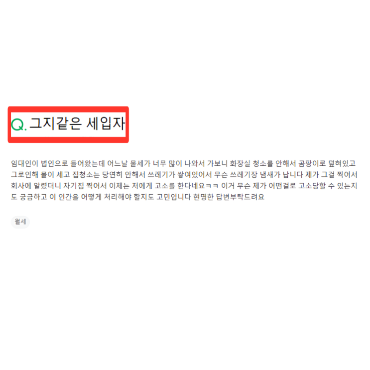  전셋집 쓰레기장 만든 세입자 복수했습니다.