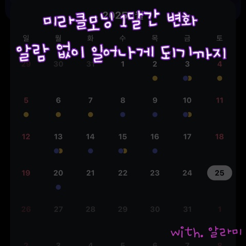  2025 새해 첫 목표, 성공적인 미라클모닝 습관 만들기 대성공 후기 (1~4주차 변화 / 도전 계기)