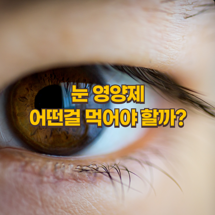  눈 영양제: 루테인과 오메가-3, 무엇을 선택해야 할까?