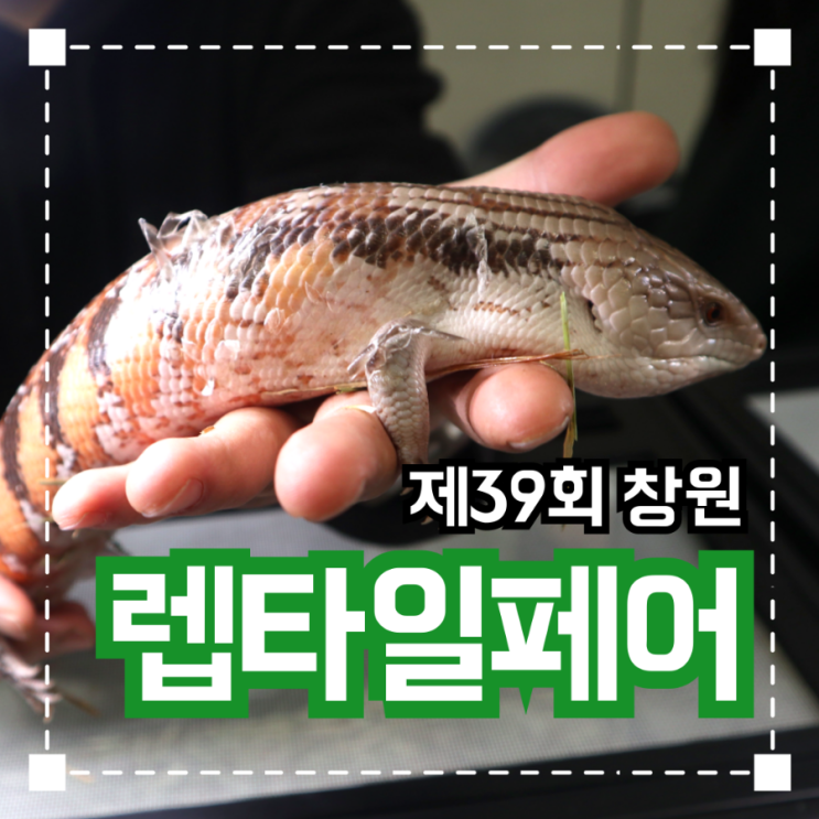  제39회 창원 '렙타일페어'