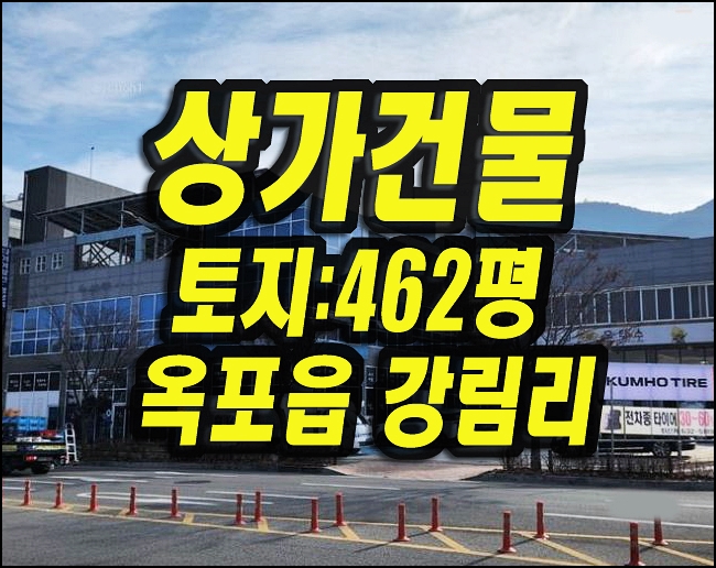  달성군 옥포읍 강림리 상가 경매 매매 자동차수리점 카센터
