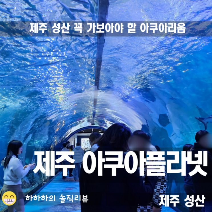  제주 가볼만한곳 아쿠아플라넷 공연시간, 관람 팁과 유미의 세포들